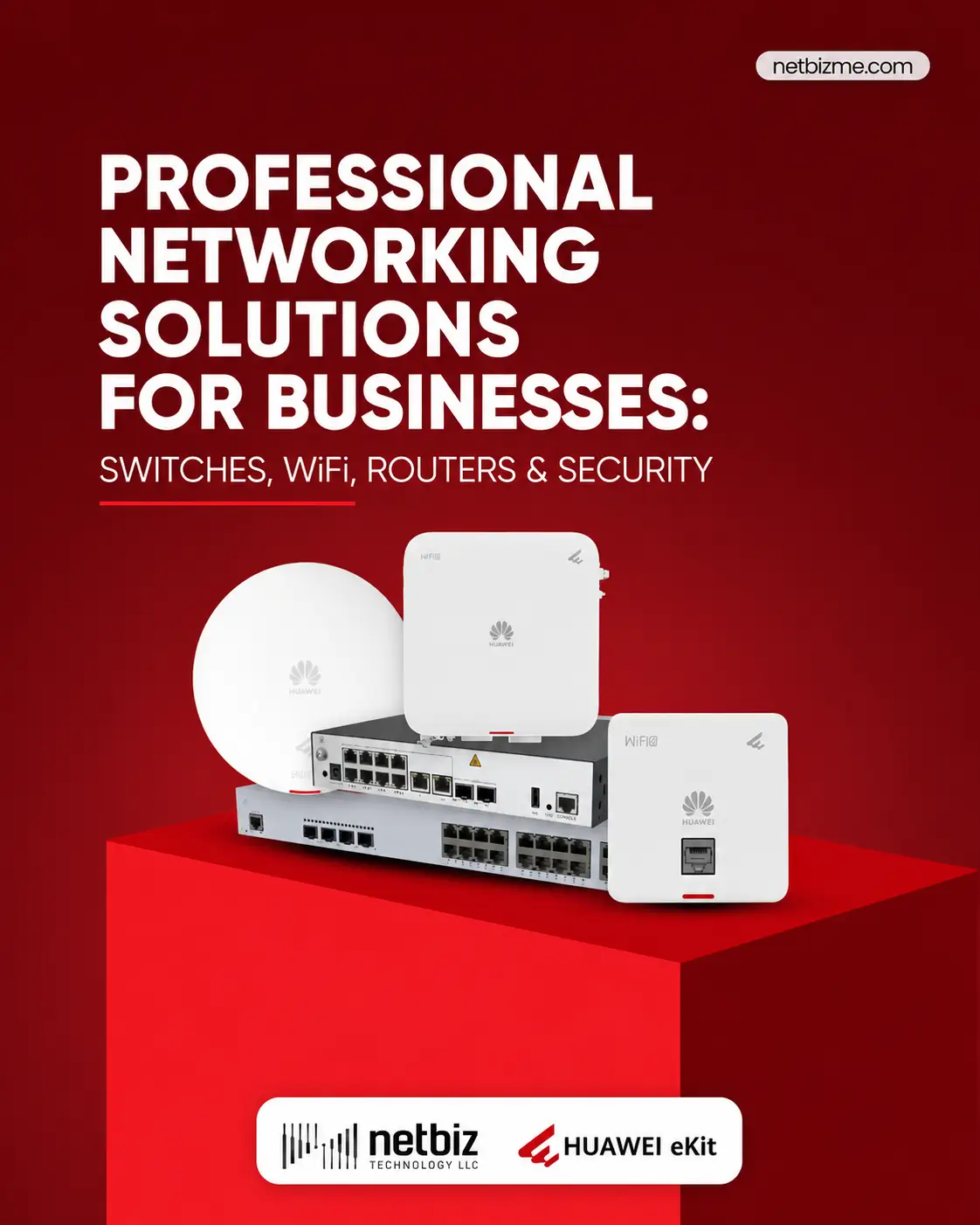 Why Choose Netbiz Technology?